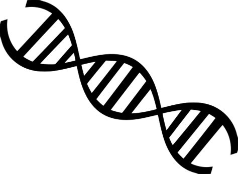 SVG > dna spiral evolution 3d - Free SVG Image & Icon. | SVG Silh