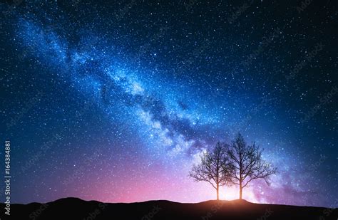 Starry sky with pink Milky Way and trees. Night landscape with alone trees on the hill against ...