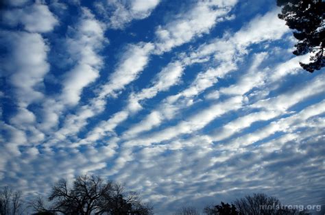 Altocumulus images