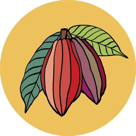 Cacao pod freehand drawing on colorful background. 2968302 Vector Art at Vecteezy