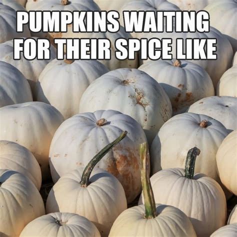 Enjoy Fall With These 12 Funny Pumpkin Spice Memes