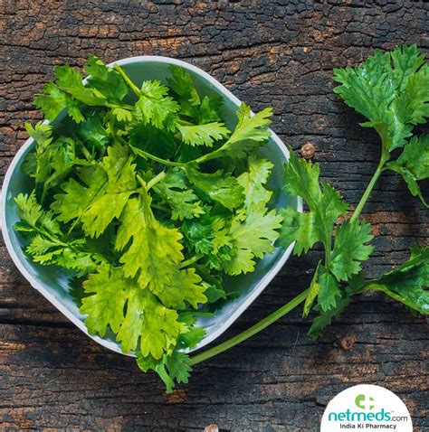 Coriander Leaves: 5 Excellent Health Benefits Of Adding These Leaves To ...