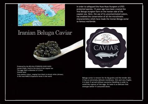 Iranian Beluga Caviar – Monte-Carlo Fine Taste ltd.