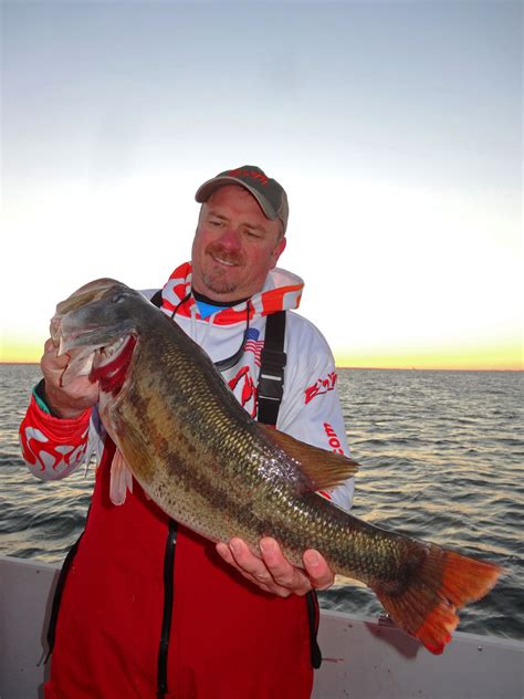 Cooling fall weather brings largemouth bass to the forefront on Lake ...