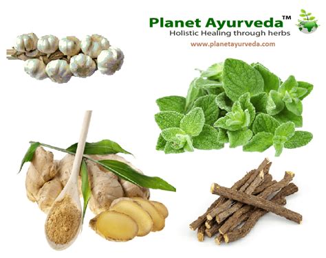 herbal remedies for asthma - Theayurveda