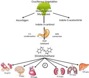 What Are DIM Supplements and Are They Worth Taking? | Diet vs Disease