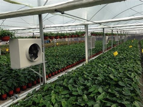 Greenhouse Heating System | Traditional greenhouses, Greenhouse ...