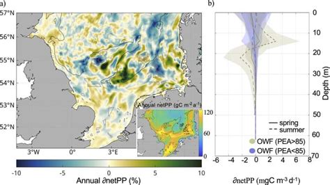 Offshore wind farms change marine ecosystems, study shows