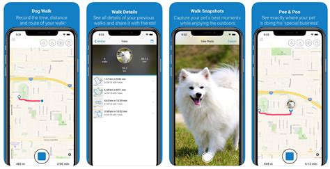 What Are The Best Apps For Dog Parents? | BARK