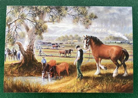 Ploughing Competition - Aussie Heavy Horses