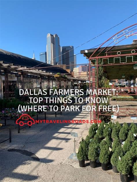 Dallas Farmers Market: Top Things To Know - My Traveling Roads