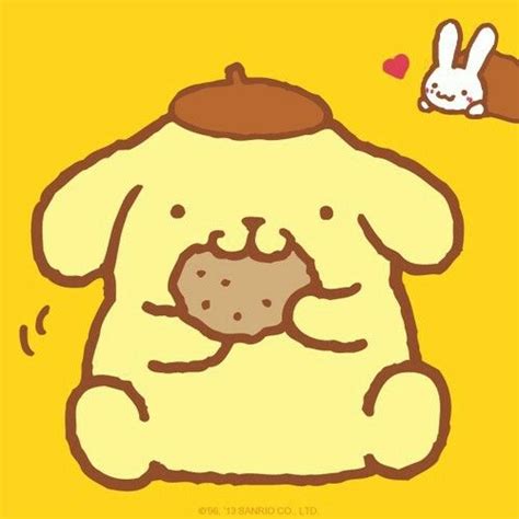 Powder is watching Pompompurin eat a cookie! | Hello kitty drawing ...