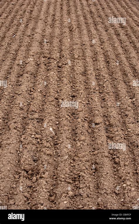 freshly cultivated soil Stock Photo - Alamy