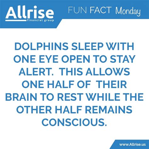 Fun Fact: Dolphins sleep with one eye open... : r/funfacts