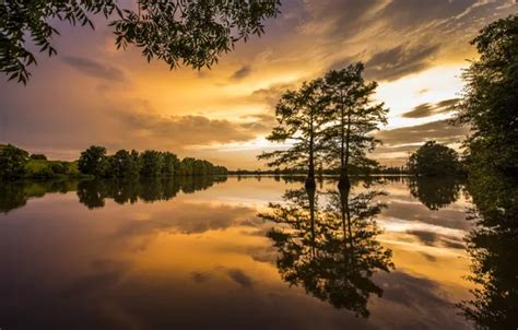 Wallpaper trees, sunset, reflection, river, Arkansas, Arkansas ...