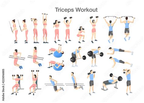 Arm triceps workout set with dumbbell and barbell Stock Vector | Adobe Stock