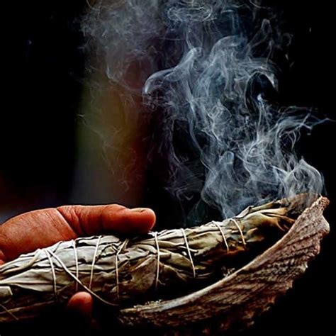 Smudge Stick White Sage Large - Eternal Balance