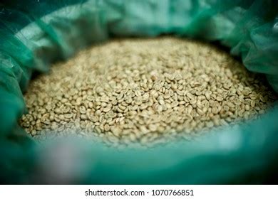 Ethiopian Green Coffee Beans Stock Photo 1070766851 | Shutterstock