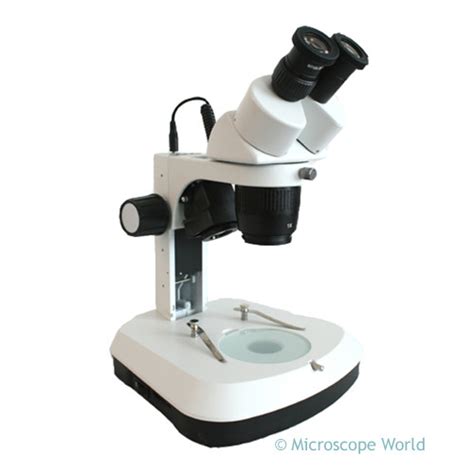 Microscope World Blog: Dissecting Microscopes