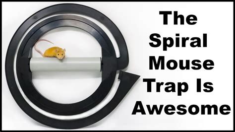 The Spiral Mouse Trap Is Awesome. Catchmaster Rolling Spiral Mouse Trap ...