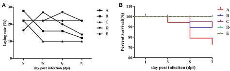 Frontiers | Vertical Transmission of H9N2 Avian Influenza Virus in Goose