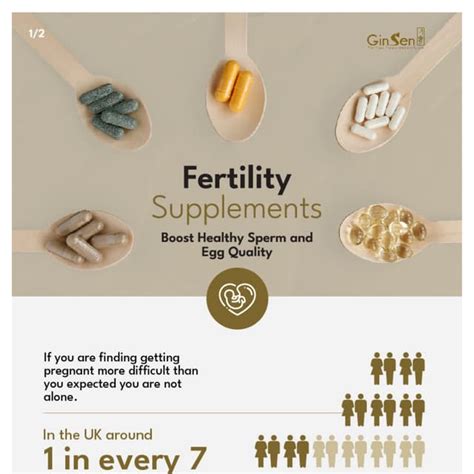 Fertility Supplements That Work | PDF