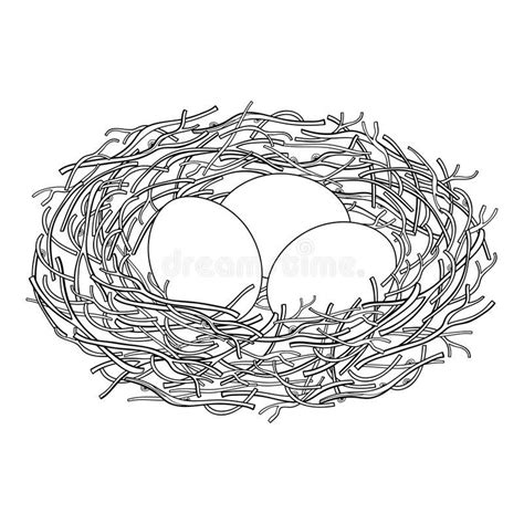 Egg Nest, Bird Nest, Outline Drawings, Bird Drawings, Outline Pictures ...