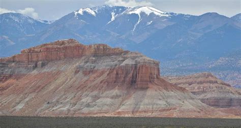 Nature Notes: Henry Mountains bison