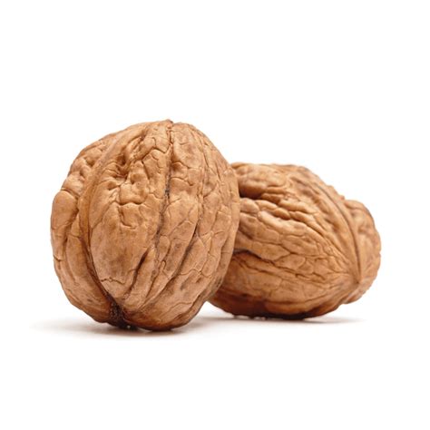 Walnuts Whole In Shell - 3Lb - Walmart.com