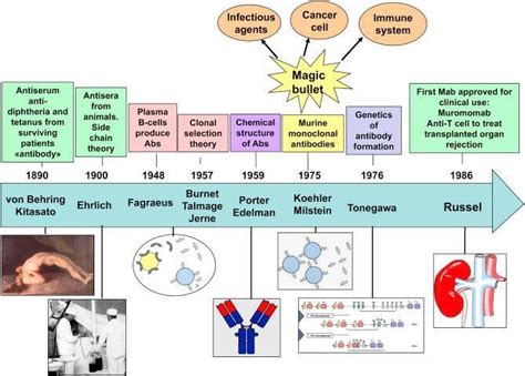 Timeline | Laboratory science, Biology, Med tech