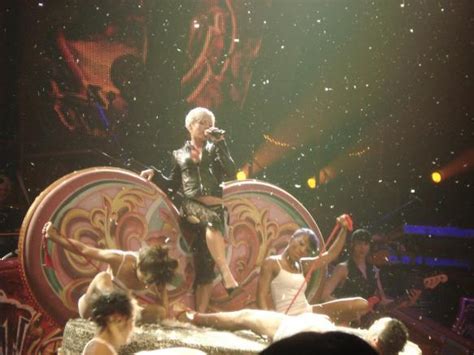 P!nk - Funhouse Tour Live - Pink Photo (12119209) - Fanpop