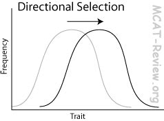 Compare And Contrast Directional Selection And Disruptive Selection