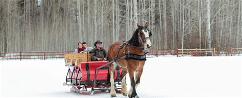 Leavenworth Sleigh Rides