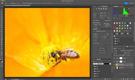 Adobe Photoshop 2023 Overview and Supported File Types