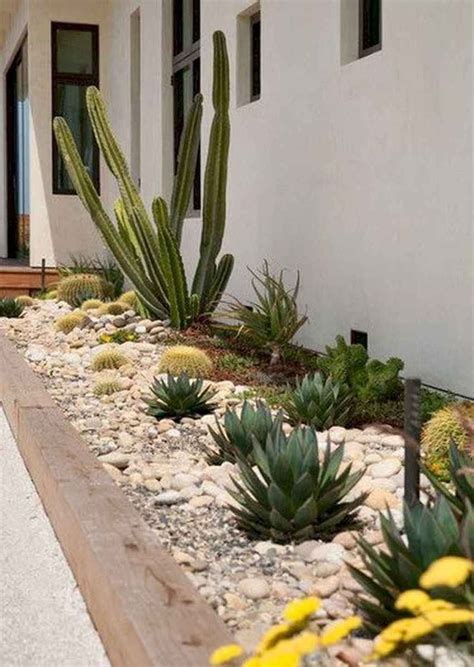 36 Beautiful Cactus Landscaping Ideas For Your Front Yards Decor - MAGZHOUSE