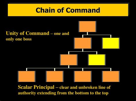 Blank Chain Of Command Chart Template