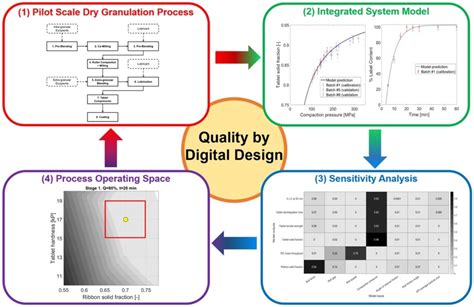 Streamlining the development of an industrial dry granulation process for an immediate release ...