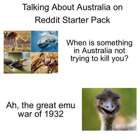 Talking About Australia on Reddit Starter Pack : r/starterpacks