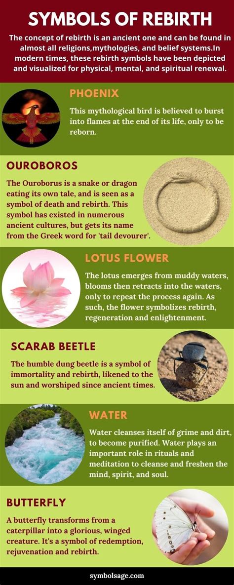 Symbols of Rebirth and Their Meanings - Symbol Sage