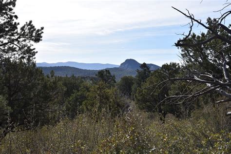 Prescott trails: Spence Basin hike from Spence Springs trailhead: Pics