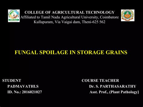 Fungal spoilage in storage grains | PPT