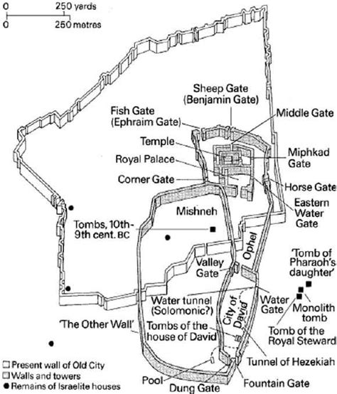 David And Solomon Compare