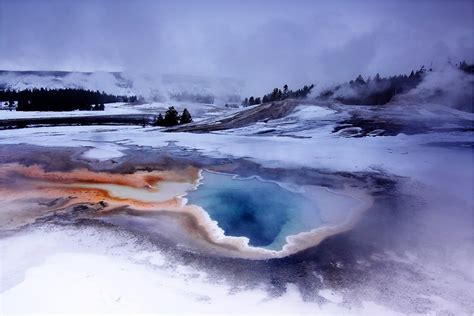 Winter in Yellowstone | Winter magic in Yellowstone... more … | Flickr