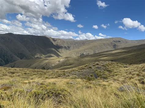 10 Best Hikes and Trails in Remarkables Conservation Area | AllTrails