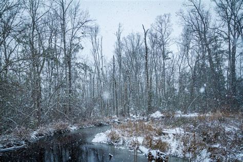 January Snow Day stock image. Image of scenic, landscape - 200325487