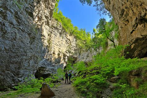 Dinaric Alps wildlife location in Slovenia, Europe | Wildlife Worldwide