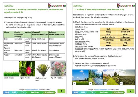 Grade 5 Natural Sciences & Technology Term 1 (NST) (Platinum ...