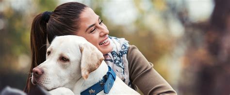 How To Communicate With A Deaf Dog | TrustedHousesitters.com