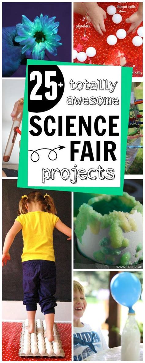 46 best Science Fair Projects images on Pinterest | School projects, Science experiments and ...