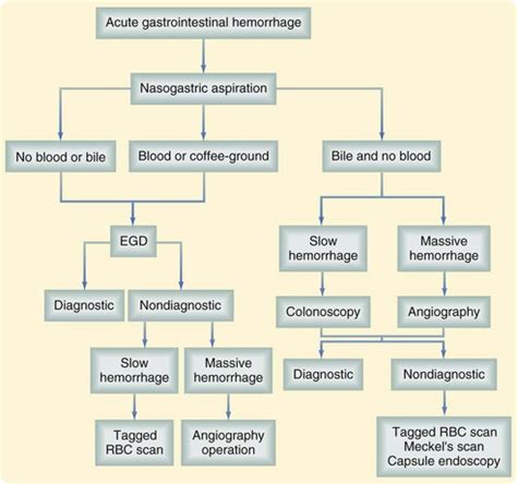 Acute Gastrointestinal Hemorrhage | Thoracic Key